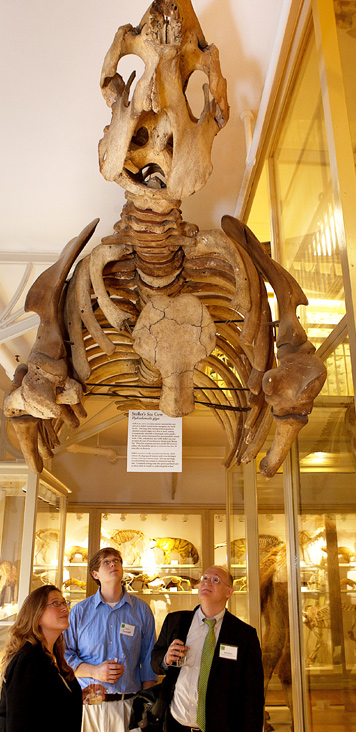 Peabody Museum Of Natural History Cambridge Ma Peabody Museum Of Natural History Cambridge Ma