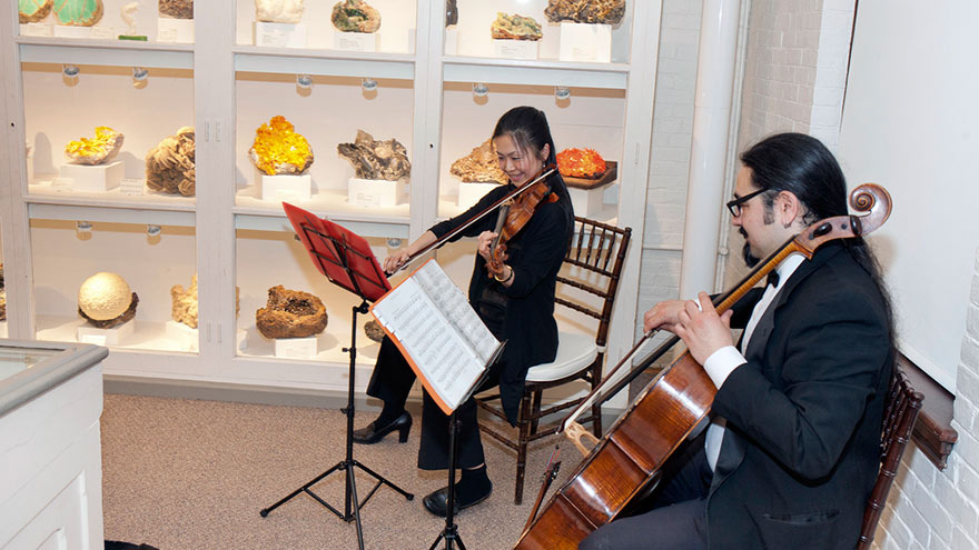 harvard museum of natural history tickets online