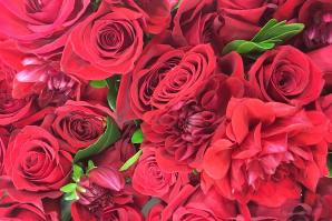 Bouquet of Red Roses
