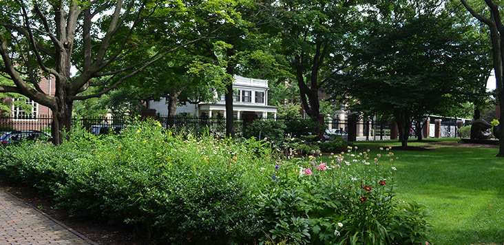 A chess event at the Loeb House at Harvard University in 2013